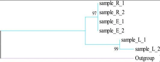 From Value Chain Perspective to monitoring the Cistanche herba