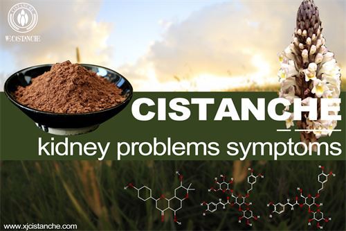 to prevent chronic kidney disease