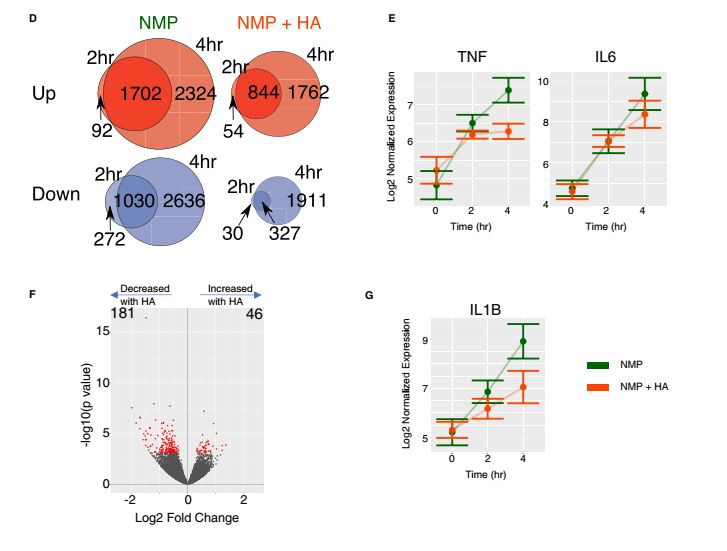 Cistanche for improving kidney function