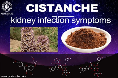 To prevent kidney infection symptoms with cistanche , click here to know more.