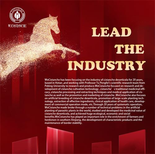 Cistanche lead the industry