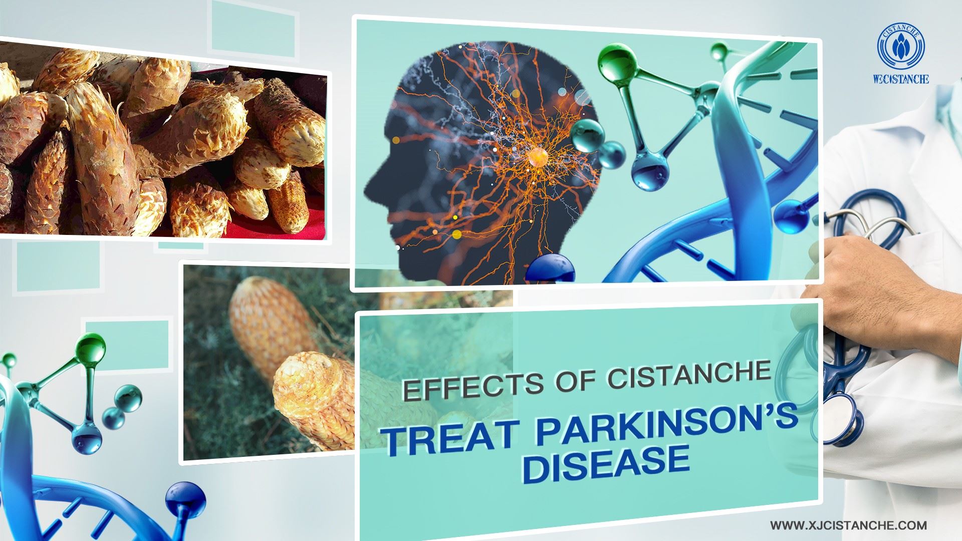 how to prevent parkinson's disease