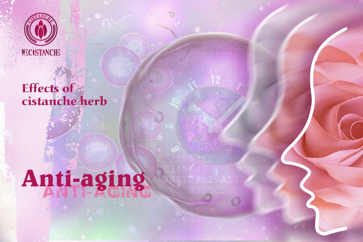 Anti-aging（,）