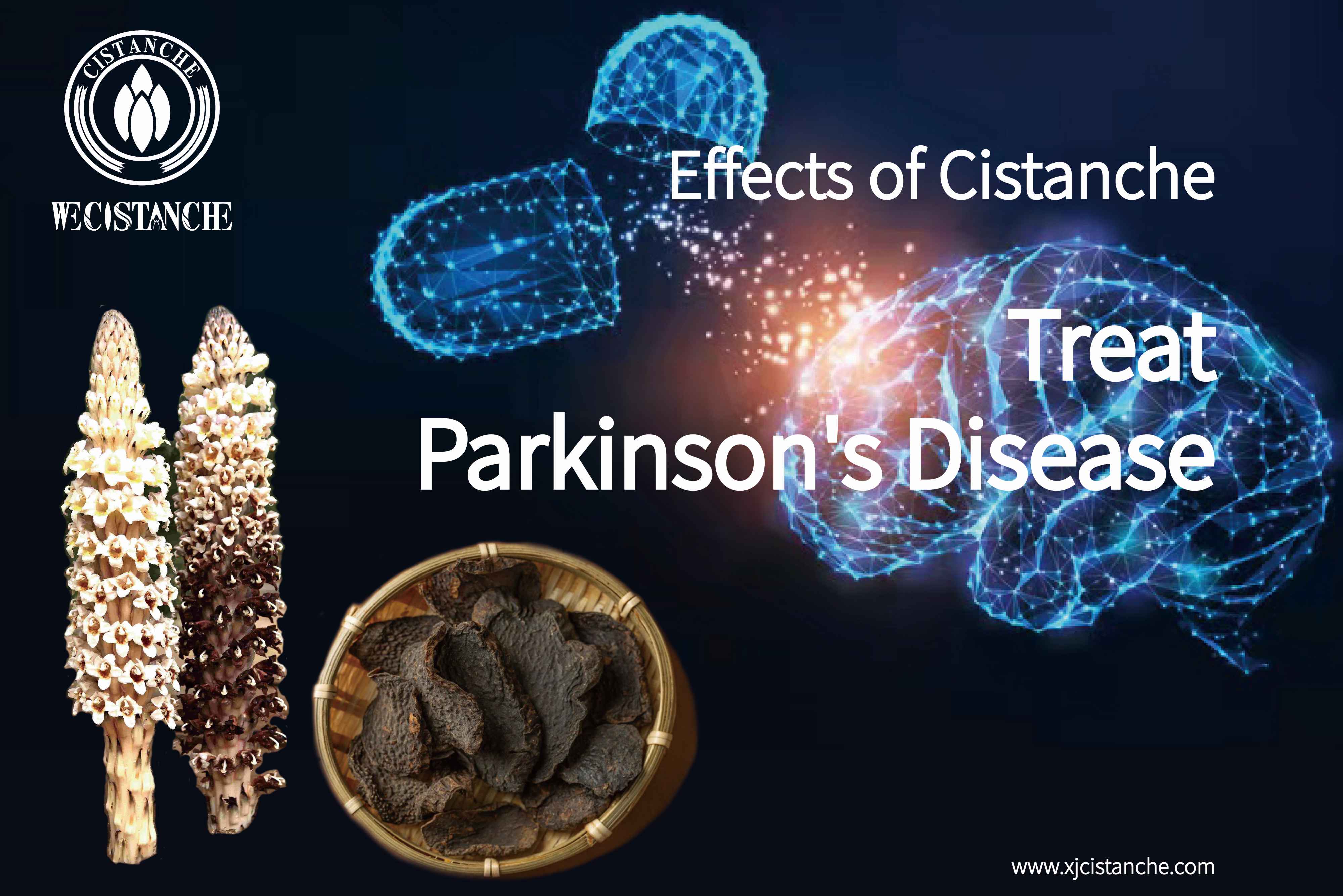 how to treat parkinson's disease how to treat parkinson's disease