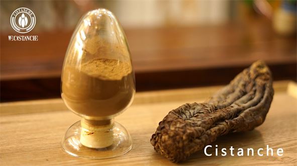 Cistanches Herba extract