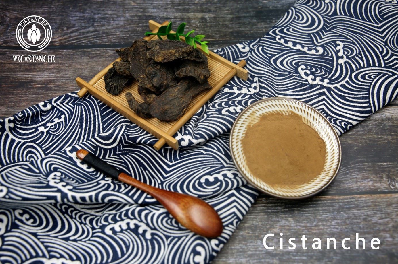 cistanche extract