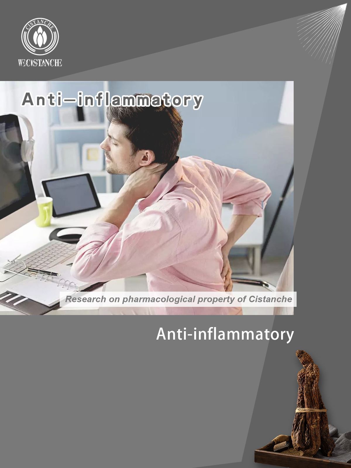 cistanche help anti-imflammatory