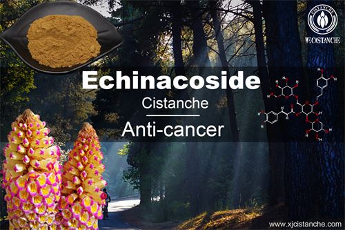 to prevent chronic kidney disease to prevent chronic kidney disease