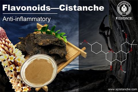 benefit of cistanche: anti-inflammatory benefit of cistanche: anti-inflammatory