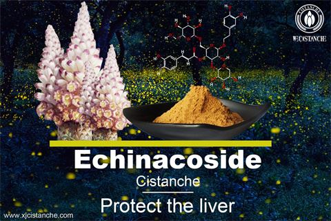 EFFECTS OF CISTANCHE EXTRACT EFFECTS OF CISTANCHE EXTRACT