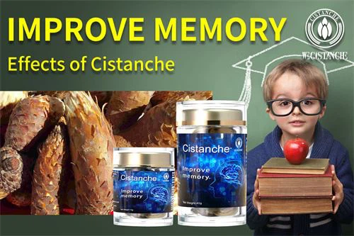 cistanche supplement: improve memory