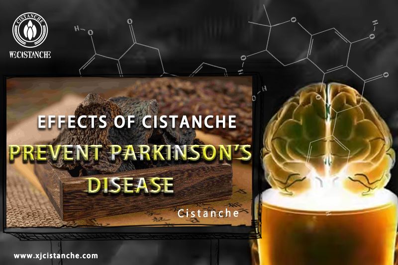 natural herb for parkinson's disease