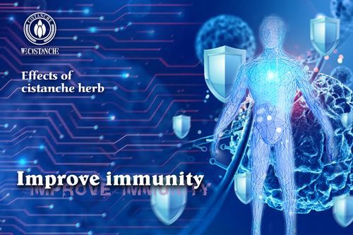 Improve immunity Improve immunity