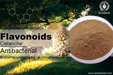 flavonoids antibacterial