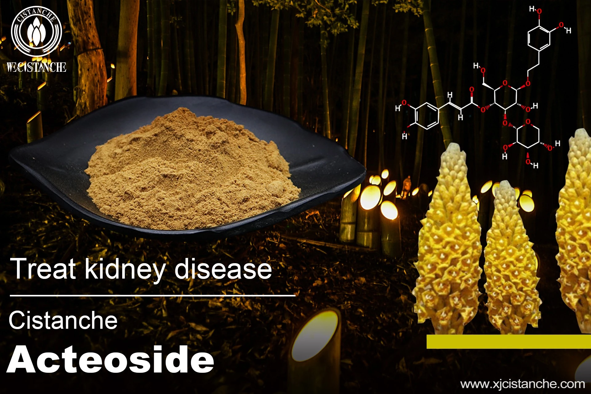 the best herb for kidney disease