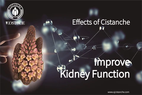 cistanche benefits reddit