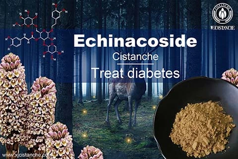 cistanche type 2 diabetes
