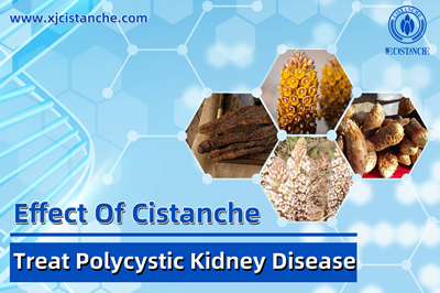 Cistanche benefits