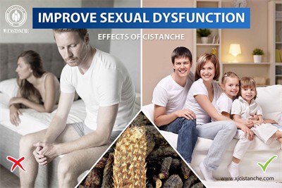 cistanche supplement review