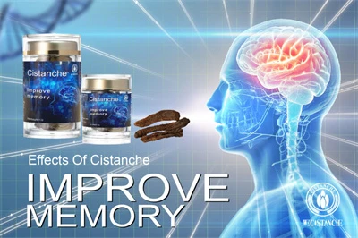 Cistanche benefits