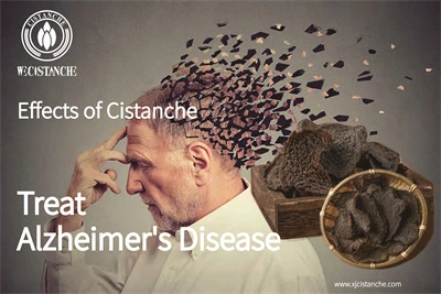 Cistanche benefits
