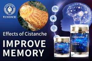 supplements to boost memory
