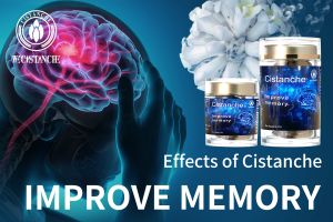 ways to improve brain function