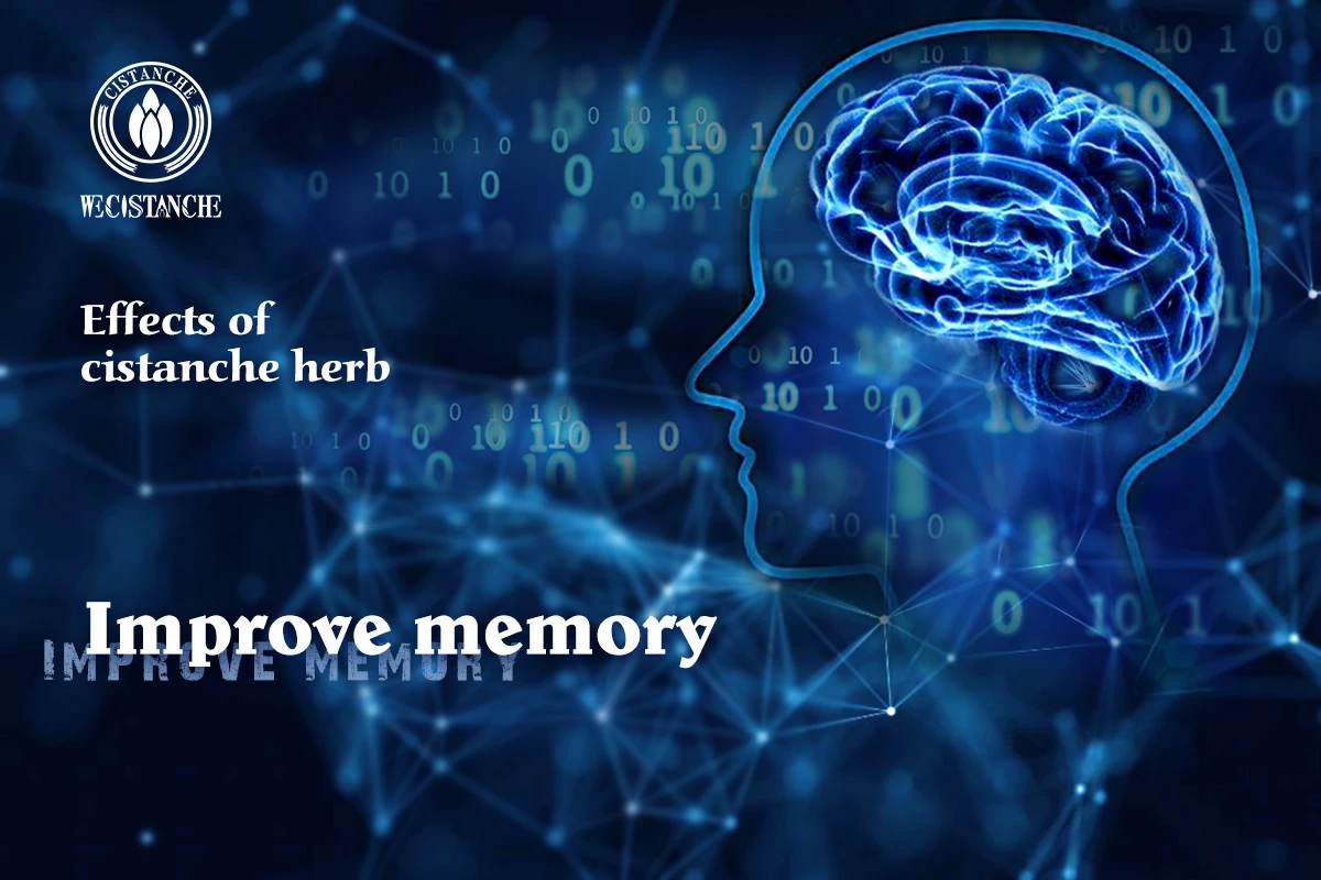 Cistanche tubulosa for improving memory