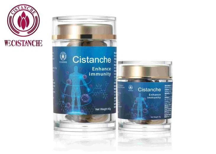Enhance Immunity Cistanche
