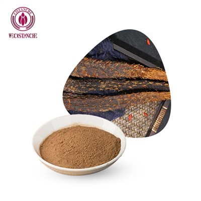 Εχινοκοσίδη