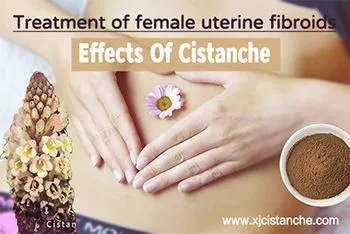 effect of cistanche