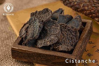cistanche product cistanche product