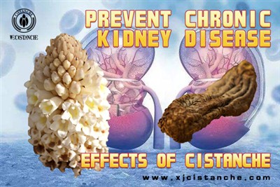 effect of cistanche